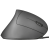 Trust Vergo Souris Ergonomique Filaire